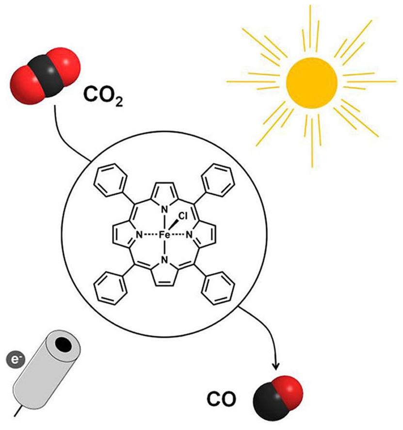 Molecular Catalysis of the Electrochemical and Photochemical Reduction of CO2 with Fe and Co Metal Based Complexes. Recent Advances