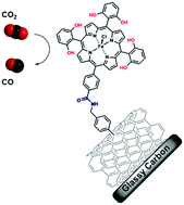 Catalytic CO2-to-CO Conversion in Water by Covalently Functionalized Carbon Nanotubes with a Molecular Iron Catalyst