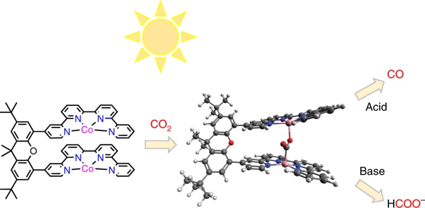 Selectivity control of CO versus formate production in the visible-light-driven catalytic reduction of CO2 with two cooperative metal sites