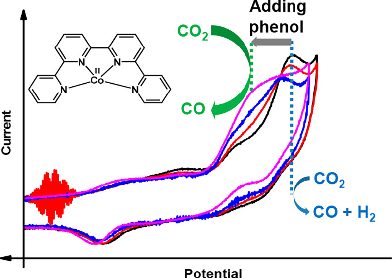 Molecular Electrochemical Catalysis of the CO2-to-CO Conversion with a Co Complex: A Cyclic Voltammetry Mechanistic Investigation
