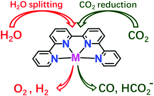 Molecular Quaterpyridine-based Metal Complexes for Small Molecule Activation: Water Splitting and CO2 Reduction