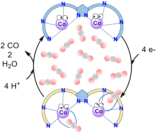 Electrocatalytic CO2 Reduction with a Binuclear bis-Terpyridine Pyrazole-Bridged Cobalt Complex