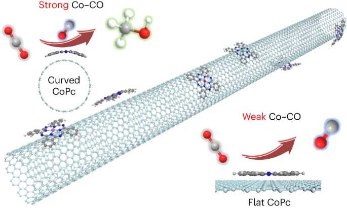 Strain enhances the activity of molecular electrocatalysts via carbon nanotube supports