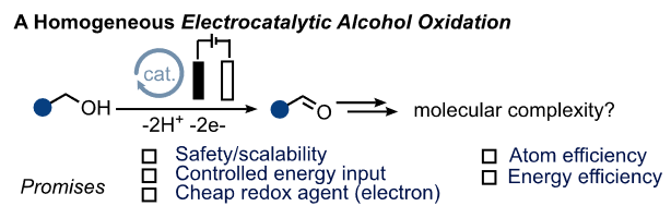 Merging Electrocatalytic Alcohol Oxidation with C-N Bond Formation by Electrifying Metal-Ligand Cooperative Catalysts