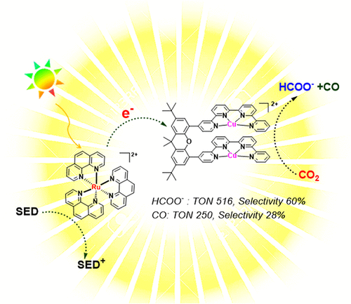 Visible-Light-Driven CO2 Reduction with Homobimetallic Complexes. Cooperativity between Metals and Activation of Different Pathways