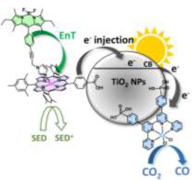 Antenna Effect in Noble Metal-Free Dye-Sensitized Photocatalytic Systems Enhances CO2-to-CO Conversion