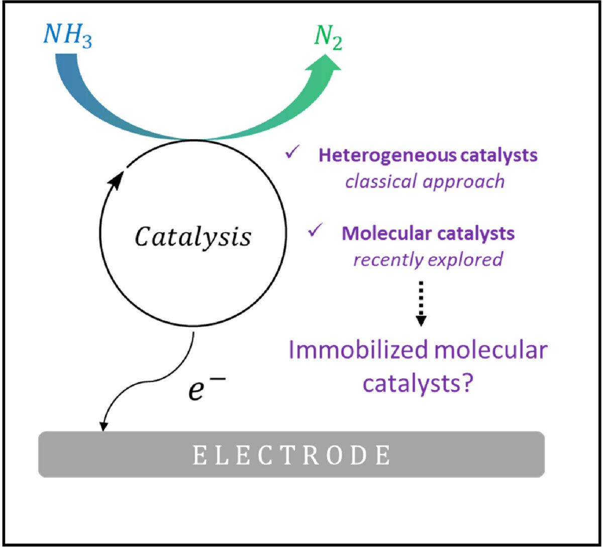 The Potential of Molecular Electrocatalysis for Ammonia-to-Dinitrogen Conversion